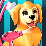 play Become a Puppy Groomer